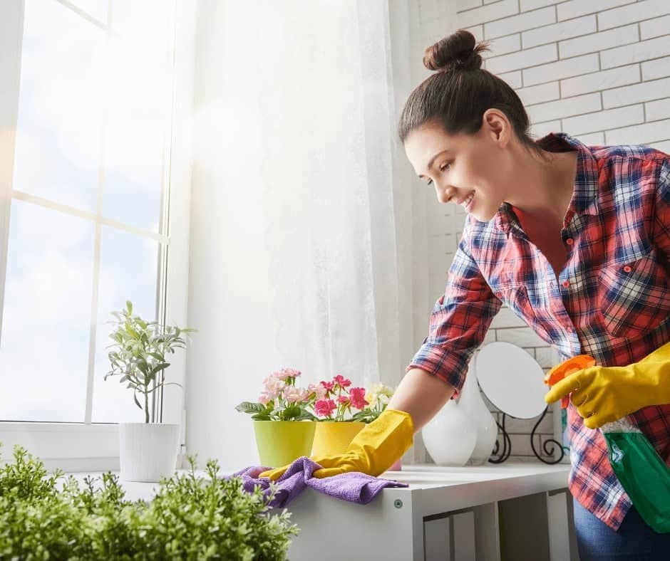 Cleaning Rentals for Other Hosts