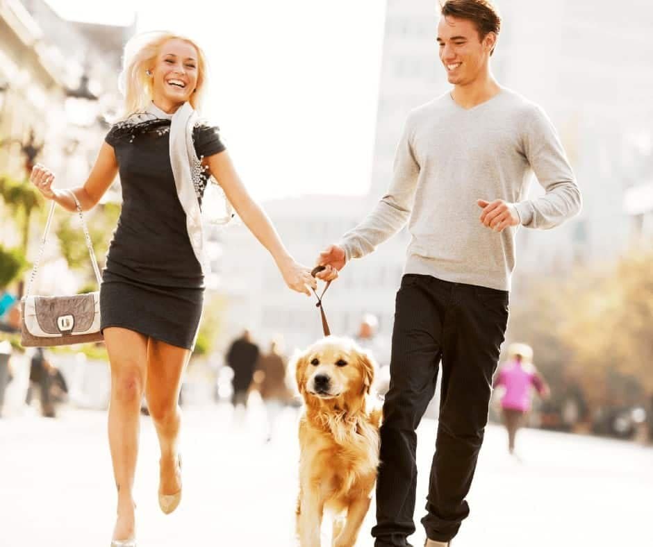 walk dogs with rover